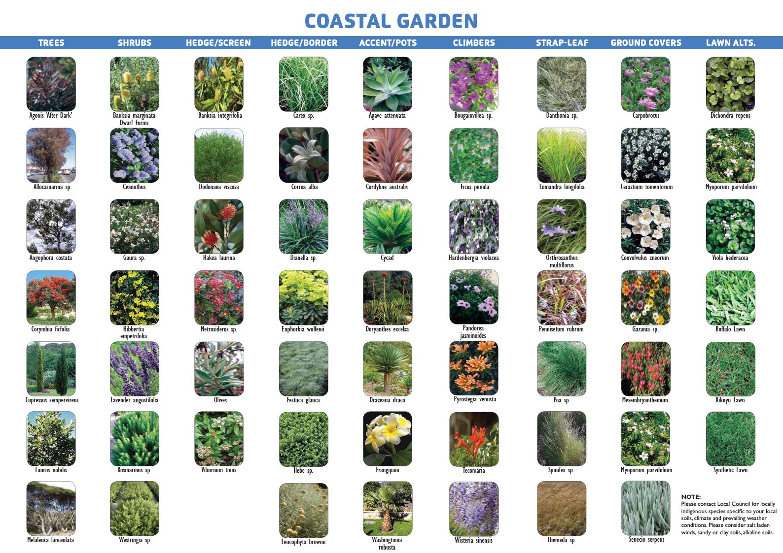 Coastal Garden