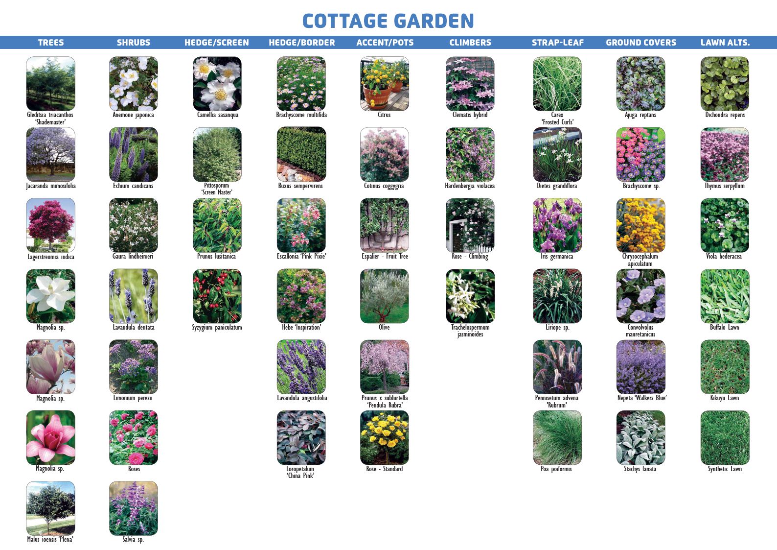 Cottage Garden
