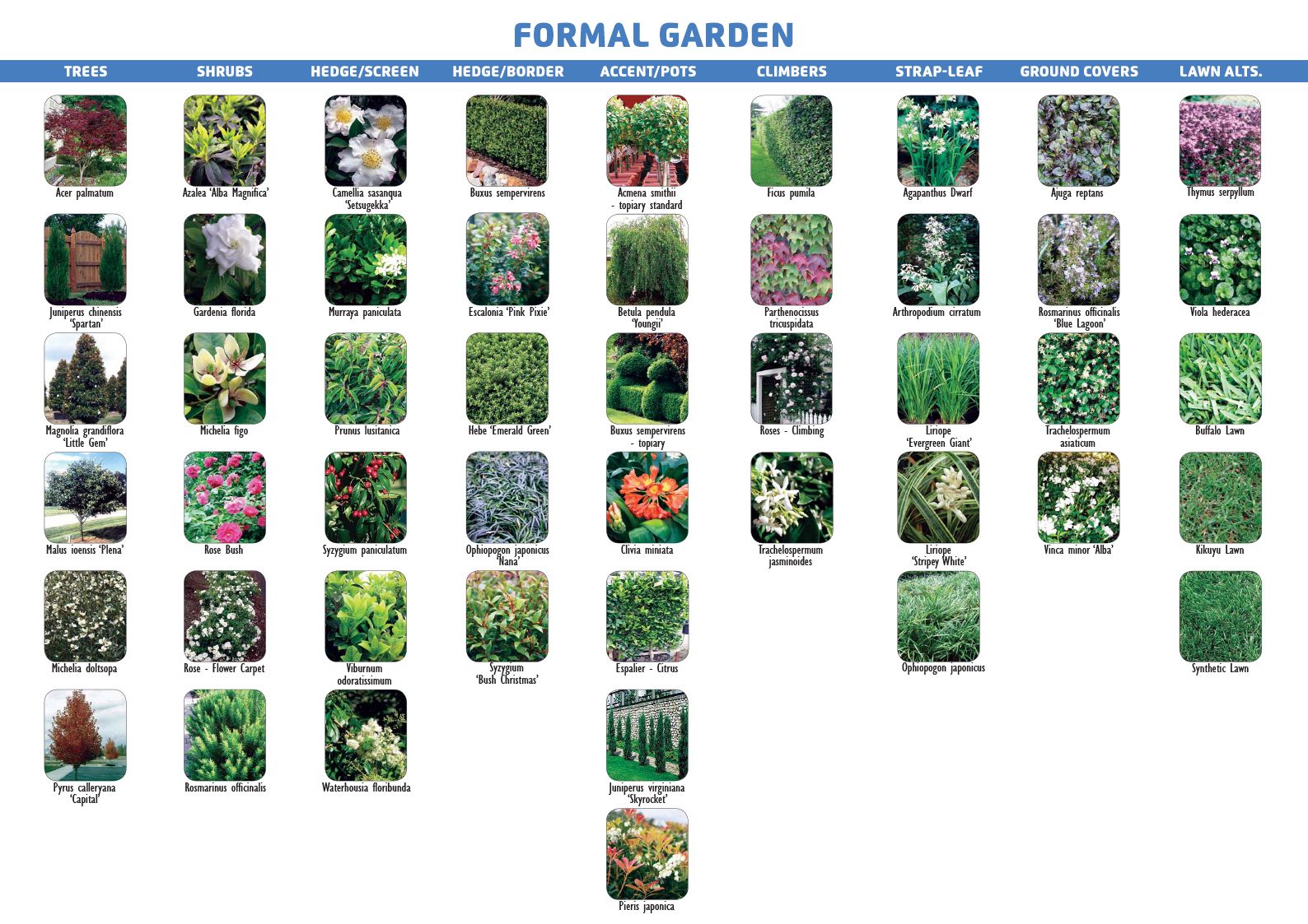 Formal Garden