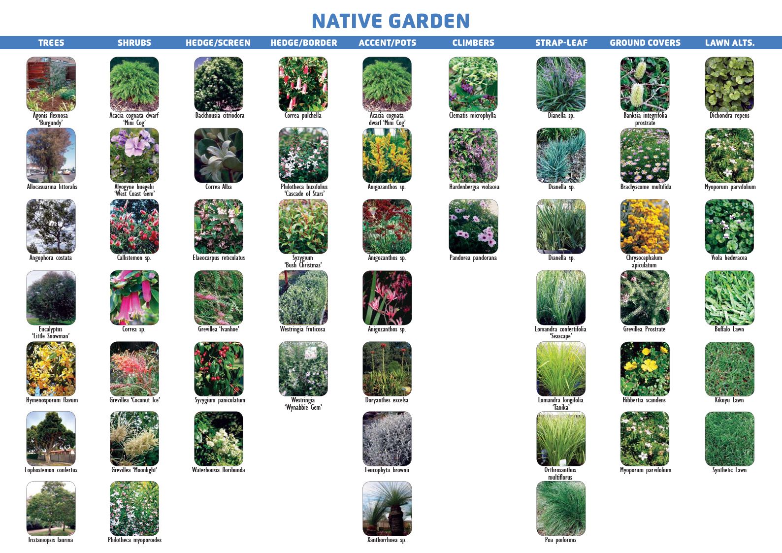 Native Garden
